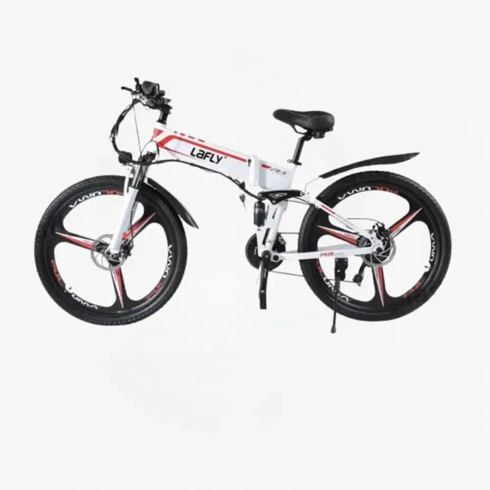 Vélo Électrique pliable 1000W - Batterie Lithium 48V et assistance électrique